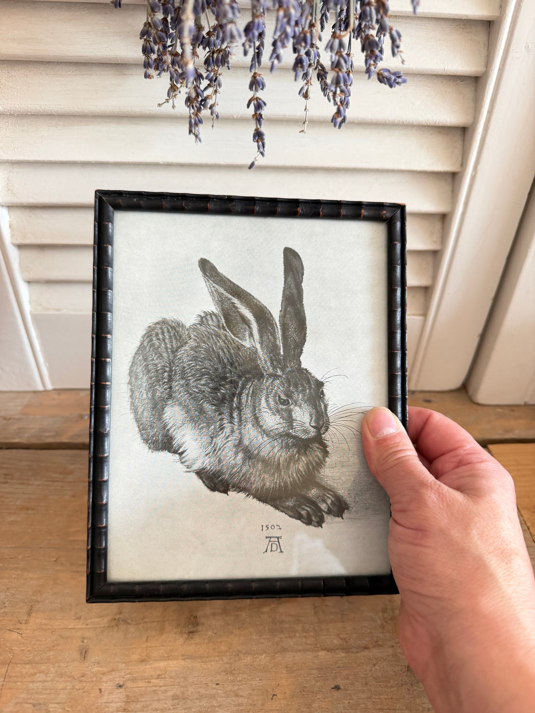 Vintage hazenprent, Albrecht Dürer haas, ingelijste dierenprent, vintage wanddecoratie, brocante lijstje, klassieke kunstreproductie, oude dierenillustratie, Sofia&