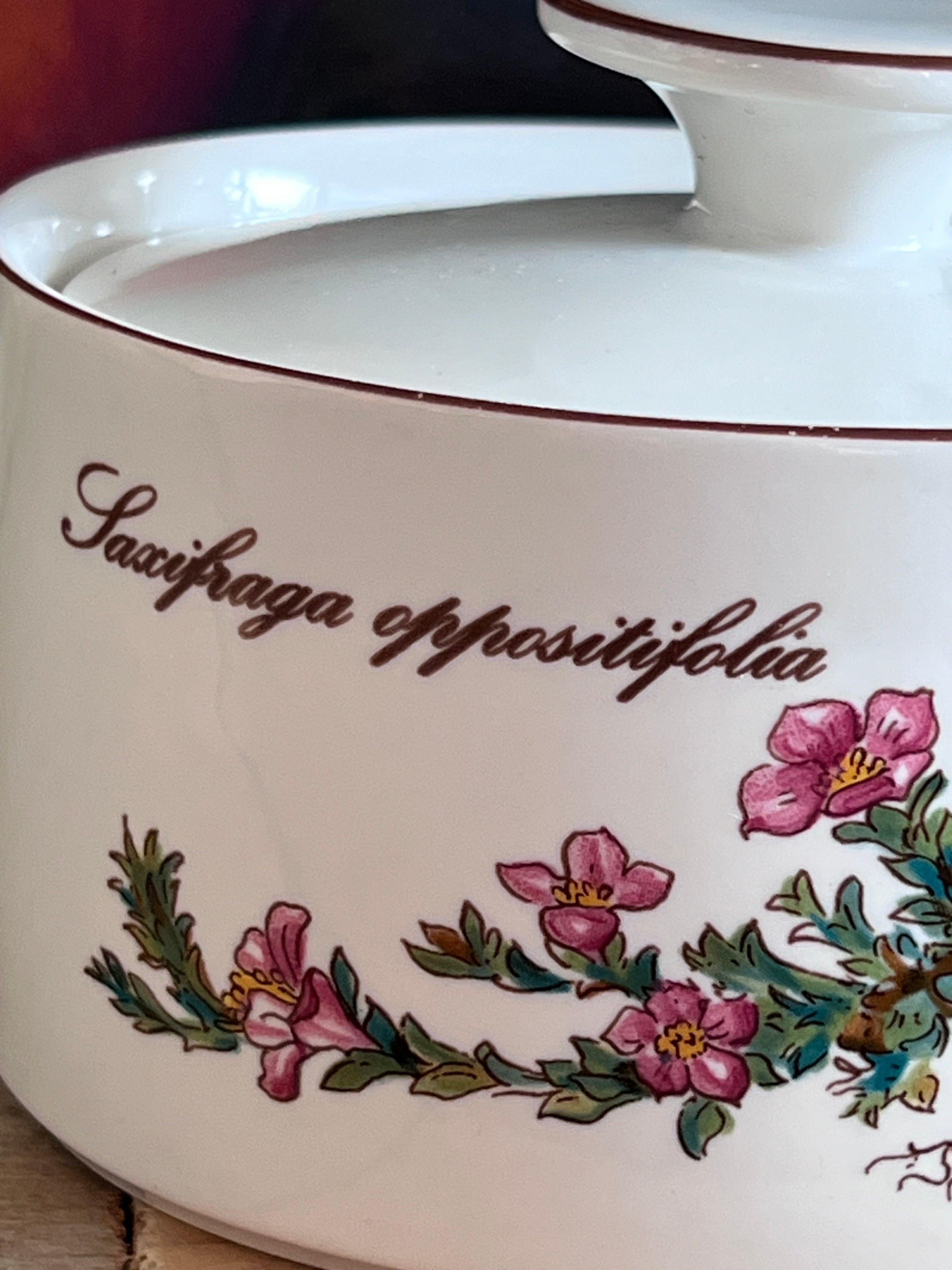 Villeroy &amp; Boch Botanica suikerpot