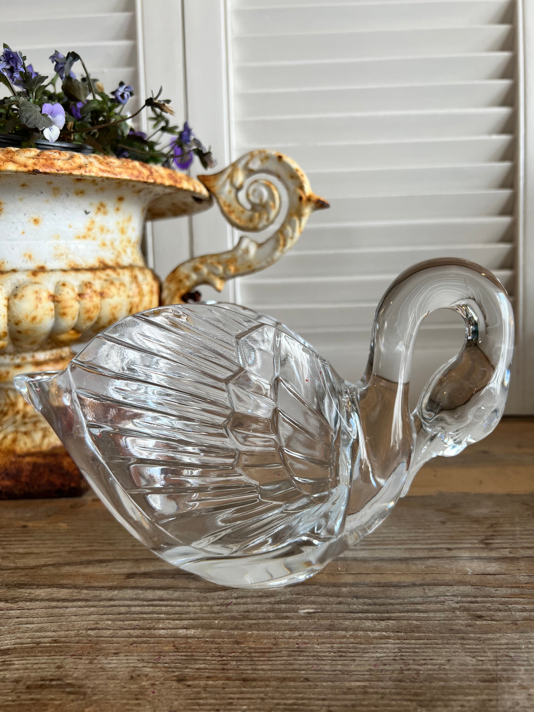 Zwaan Cristal d&