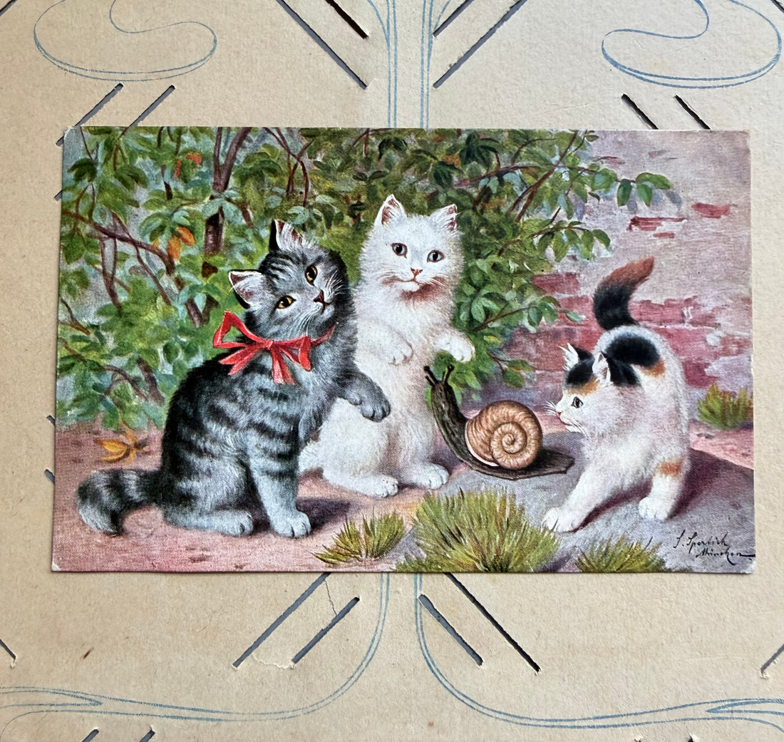 Antieke ansichtkaart met kittens, Sophie Sperlich 1910, Sophie Sperlich ansichtkaart, antieke ansichtkaart, Sofia&