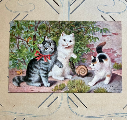 Antieke ansichtkaart met kittens, Sophie Sperlich 1910, Sophie Sperlich ansichtkaart, antieke ansichtkaart, Sofia&