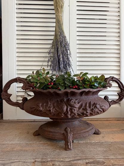 gietijzeren jardinière, grote franse jardinière, brocante plantenbak, Franse tuinornamenten, jardinière met oren, oorvaas, klassieke gietijzeren oorvaas, Sofia&