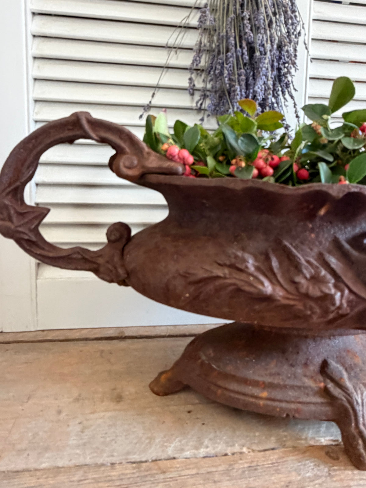 gietijzeren jardinière, grote franse jardinière, brocante plantenbak, Franse tuinornamenten, jardinière met oren, oorvaas, klassieke gietijzeren oorvaas, Sofia&
