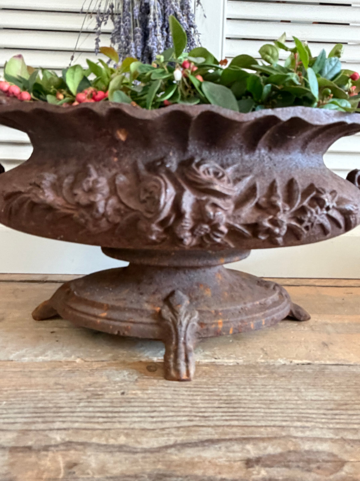 gietijzeren jardinière, grote franse jardinière, brocante plantenbak, Franse tuinornamenten, jardinière met oren, oorvaas, klassieke gietijzeren oorvaas, Sofia&