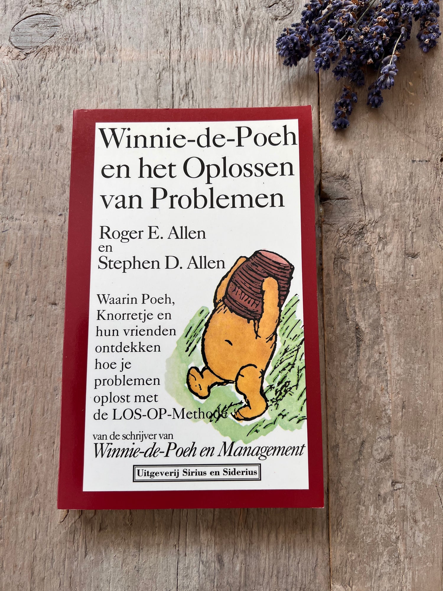 Winnie de Poeh en het oplossen van problemen