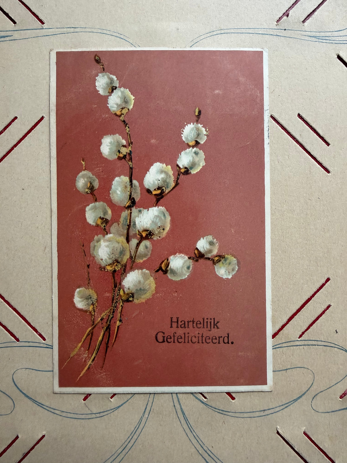 antieke ansichtkaart, oude felicitatiekaart, Hartelijk Gefeliciteerd kaart, oude prentbriefkaart, papieren antiek,  botanische ansichtkaart, anischtkaart wilgenkatjes, Sofia&
