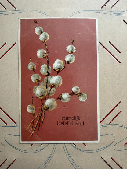 antieke ansichtkaart, oude felicitatiekaart, Hartelijk Gefeliciteerd kaart, oude prentbriefkaart, papieren antiek,  botanische ansichtkaart, anischtkaart wilgenkatjes, Sofia&