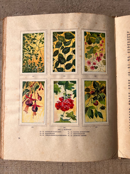 Antique Verkade picture book Houseplants