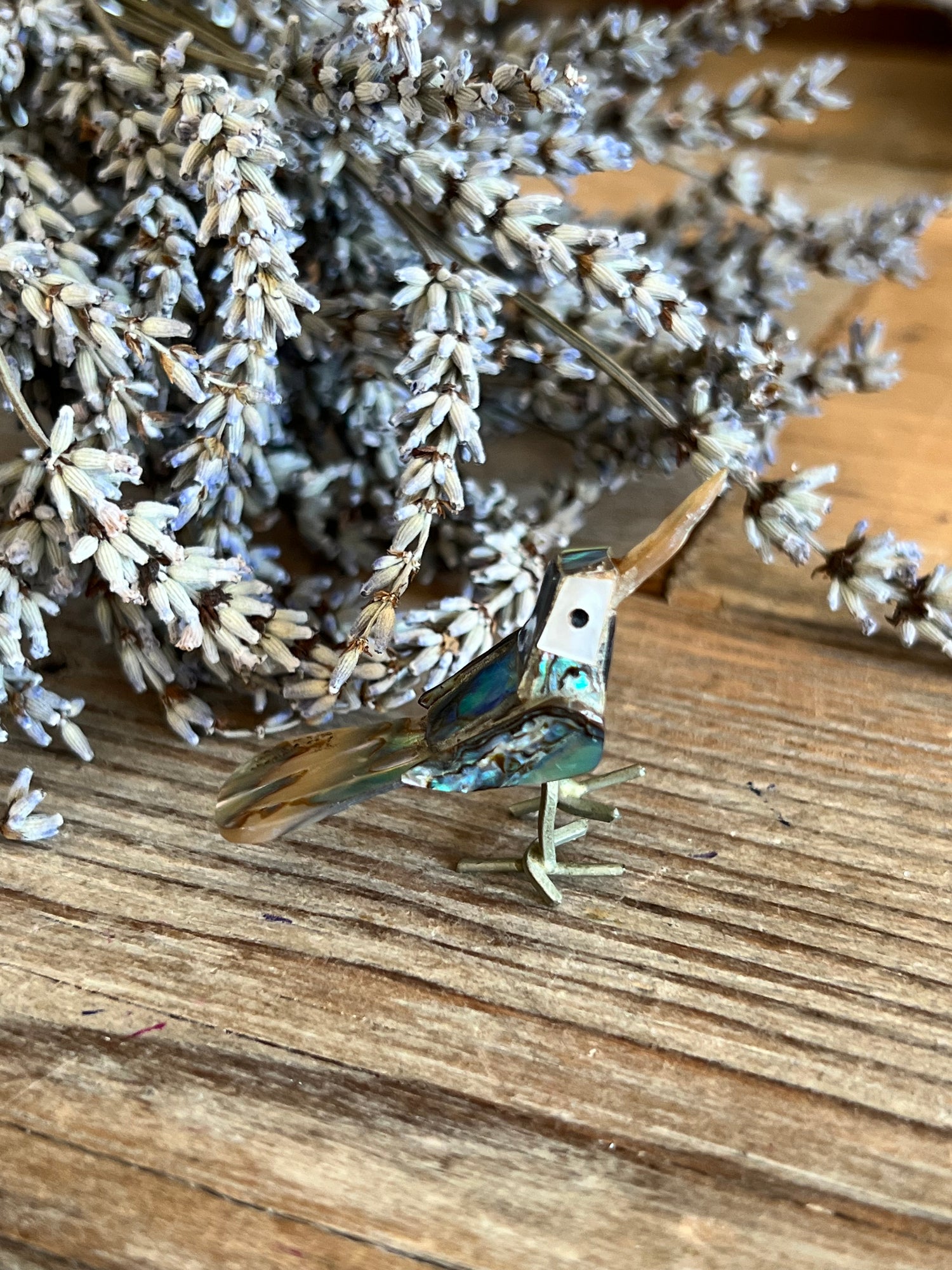 Mexicaan vogeltje van abelone schelp