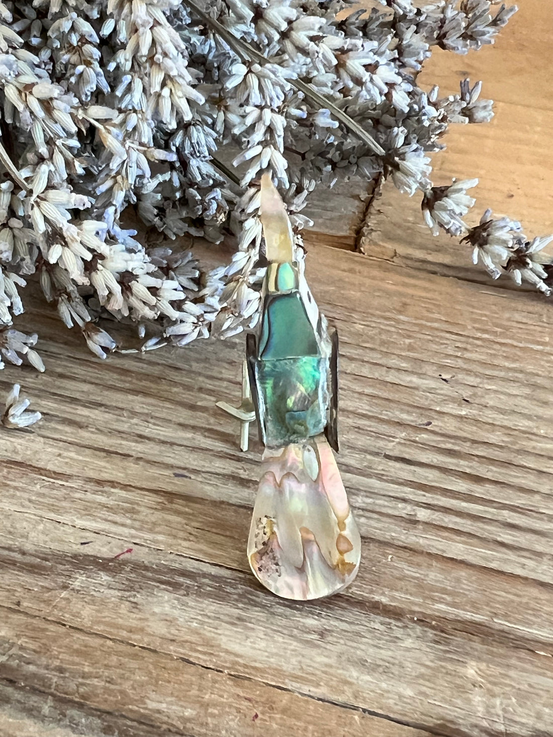 Mexicaans vogeltje abelone schelp vintage