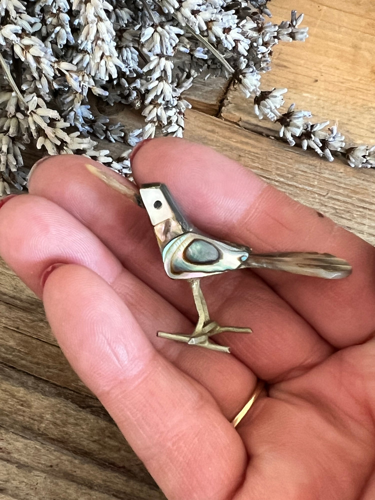 Mexicaans miniatuur vogeltje van abelone schelp