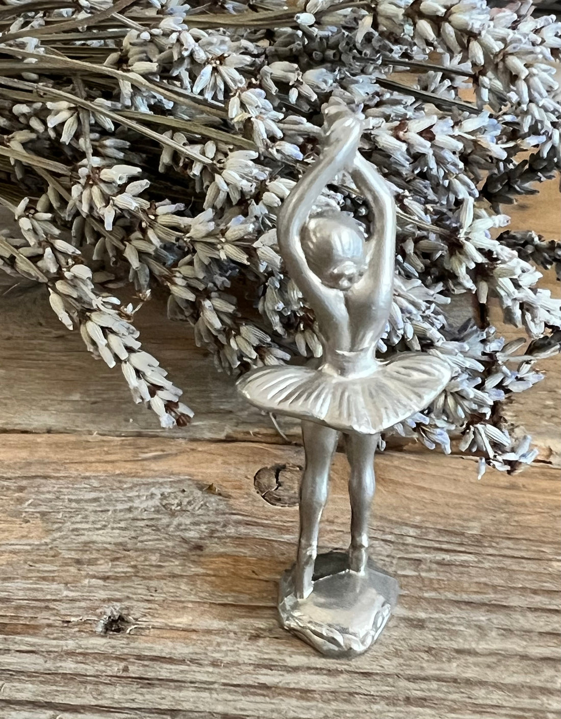Letterbak ballerina van tin