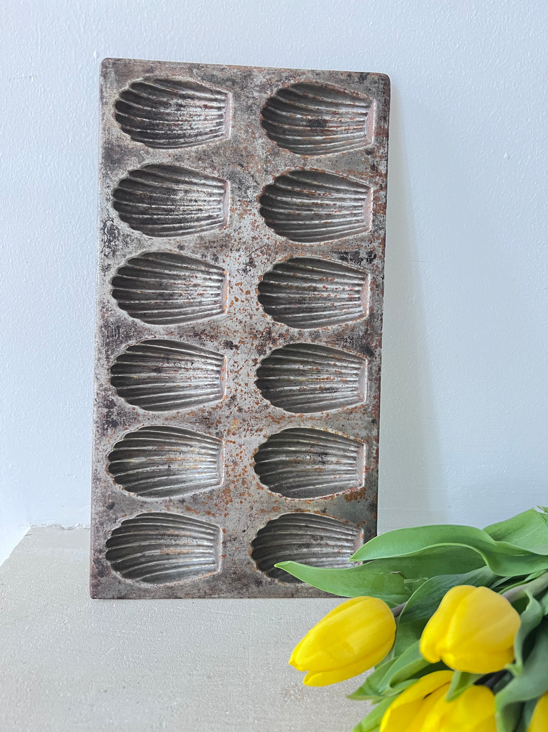 vintage madeleine bakvorm, Franse madeleine bakvorm, authentieke madeleine vorm, retro bakvorm Frankrijk, klassieke madeleine vorm, nostalgisch keukengerei, madeleine koekjes bakvorm, metalen madeleine vorm, traditionele Franse bakvorm, vintage bakvorm voor madeleines.