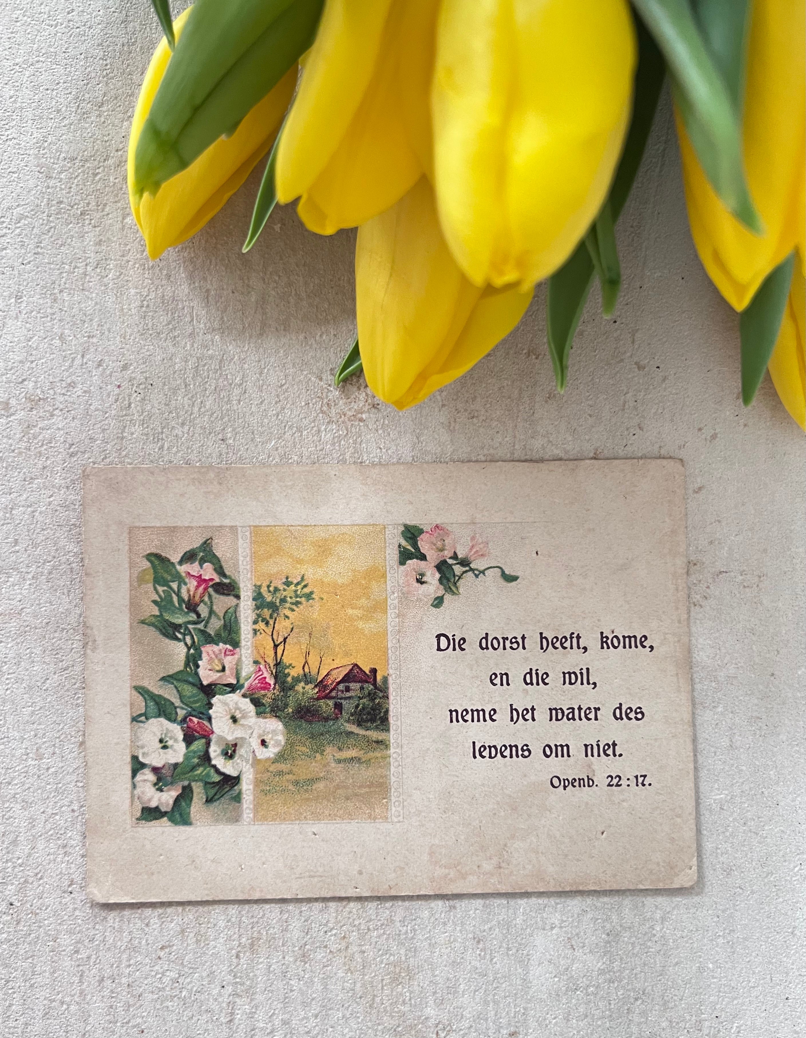 antiek zondagschoolplaatje, bijbelplaatje vintage, zondagschoolplaatje 1895, religieuze prent antiek, bijbelse tekst prent, landelijke boerderij afbeelding, antiek pastoraal plaatje, nostalgische zondagschoolprent, historische bijbelse illustratie, decoratief oud zondagschoolplaatje.