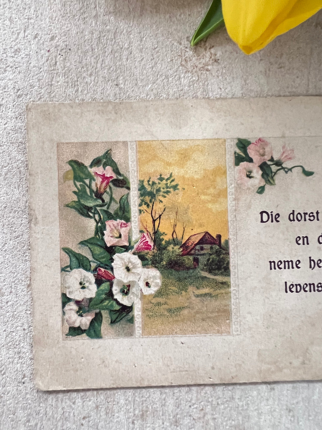 antiek zondagschoolplaatje, bijbelplaatje vintage, zondagschoolplaatje 1895, religieuze prent antiek, bijbelse tekst prent, landelijke boerderij afbeelding, antiek pastoraal plaatje, nostalgische zondagschoolprent, historische bijbelse illustratie, decoratief oud zondagschoolplaatje.