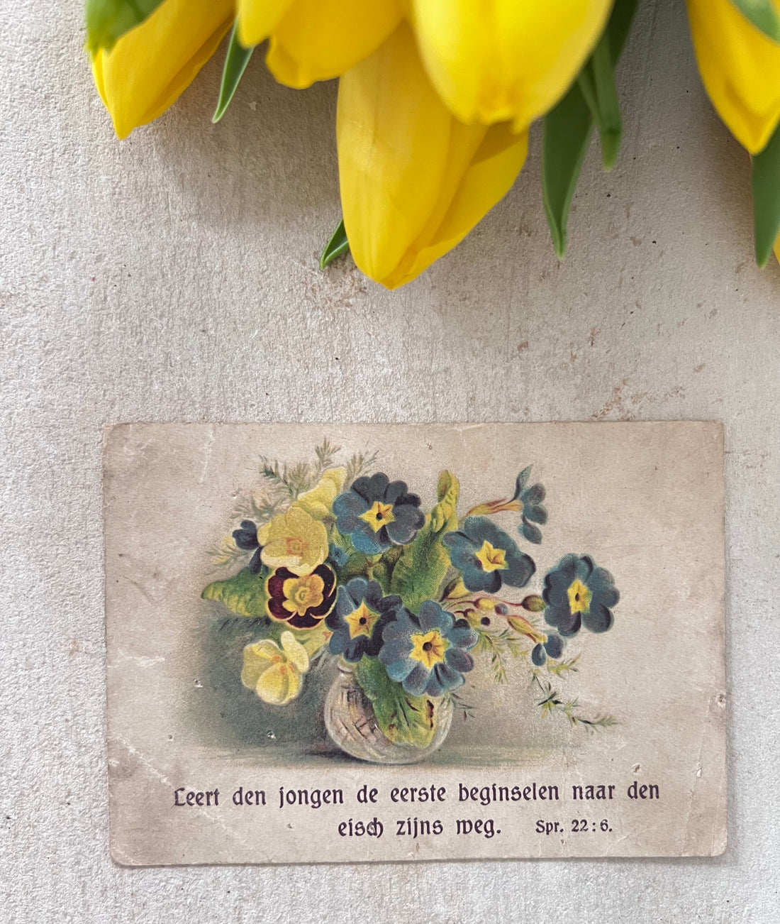 Antiek zondagsschoolplaatje met bloemen