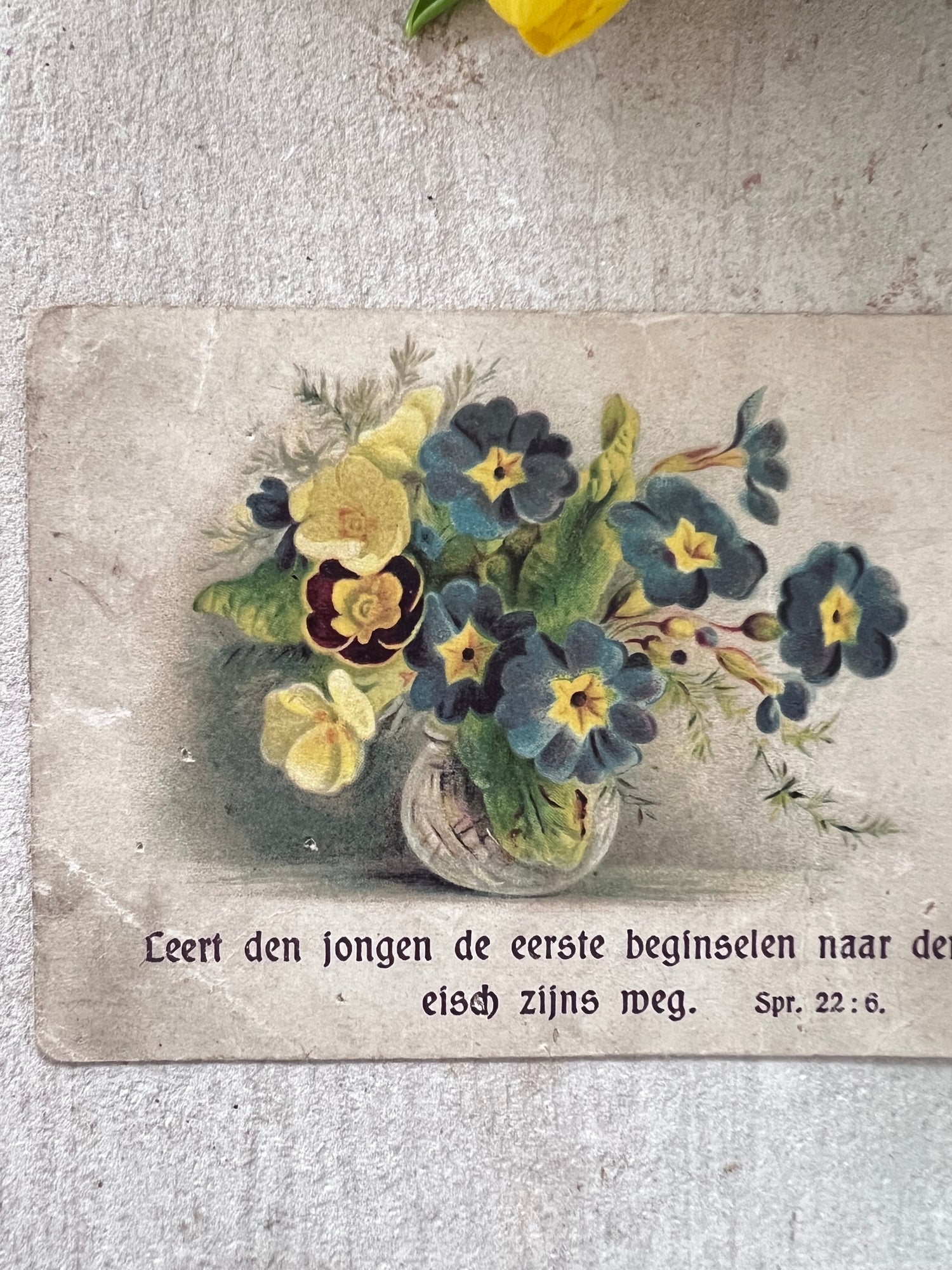 Antiek zondagsschoolplaatje met bloemen