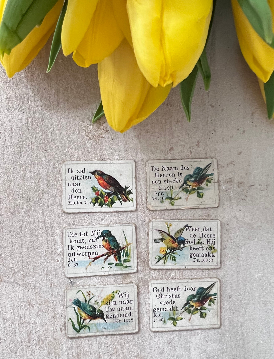 antieke zondagschoolplaatjes, bijbelse zondagschoolplaatjes, zeldzame zondagschoolplaatjes, vintage religieuze prenten, set zondagschoolplaatjes vogels, historische bijbelse illustraties, unieke zondagschoolprent collectie, oude religieuze plaatjes, antiek bijbels drukwerk, decoratieve zondagschoolplaatjes.