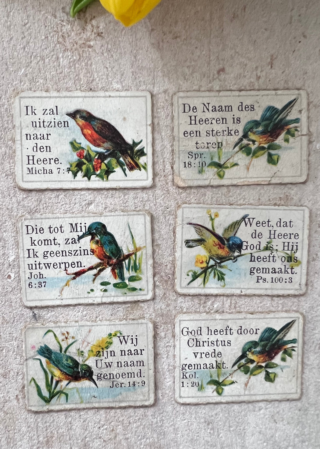 antieke zondagschoolplaatjes, bijbelse zondagschoolplaatjes, zeldzame zondagschoolplaatjes, vintage religieuze prenten, set zondagschoolplaatjes vogels, historische bijbelse illustraties, unieke zondagschoolprent collectie, oude religieuze plaatjes, antiek bijbels drukwerk, decoratieve zondagschoolplaatjes.