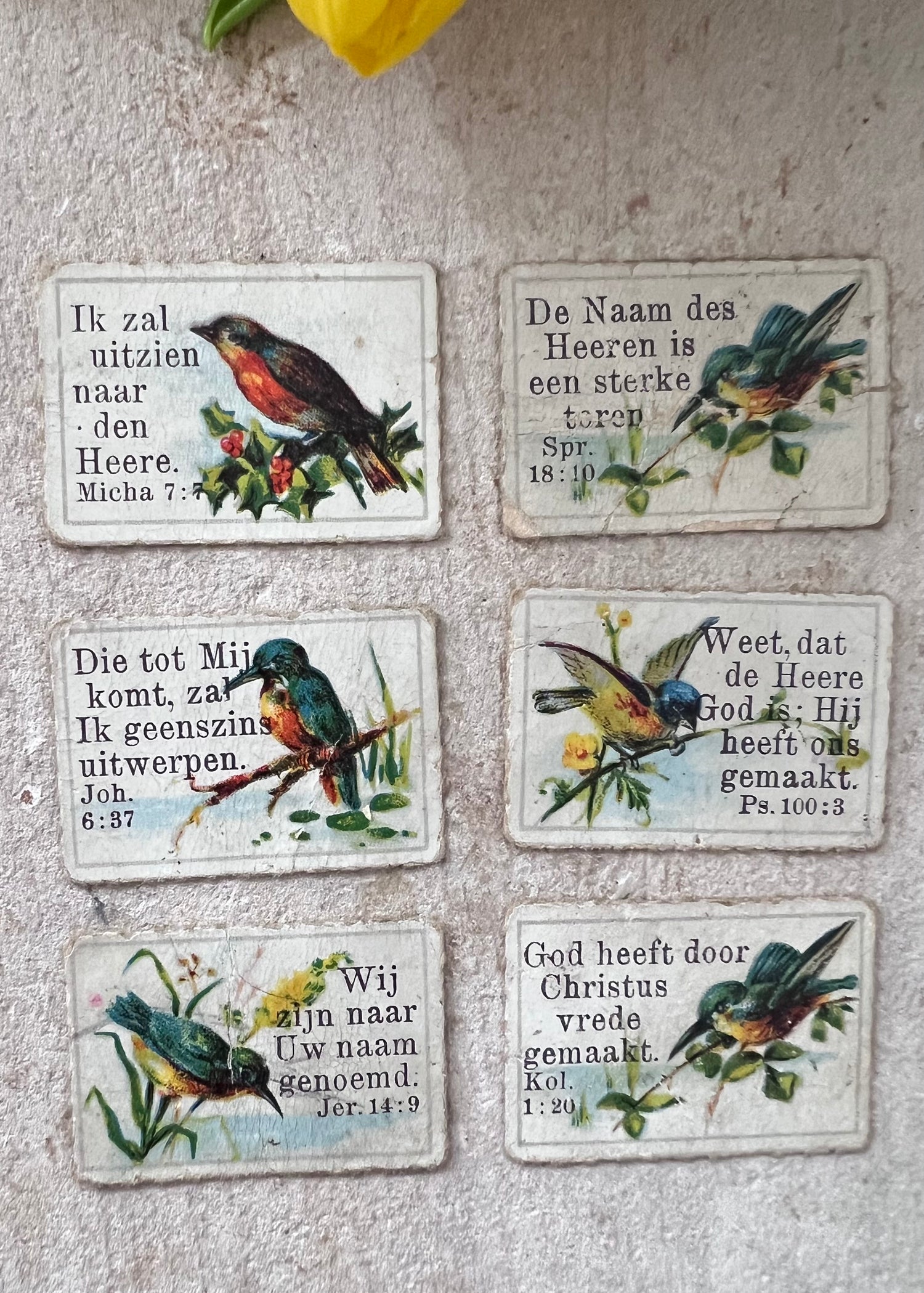antieke zondagschoolplaatjes, bijbelse zondagschoolplaatjes, zeldzame zondagschoolplaatjes, vintage religieuze prenten, set zondagschoolplaatjes vogels, historische bijbelse illustraties, unieke zondagschoolprent collectie, oude religieuze plaatjes, antiek bijbels drukwerk, decoratieve zondagschoolplaatjes.