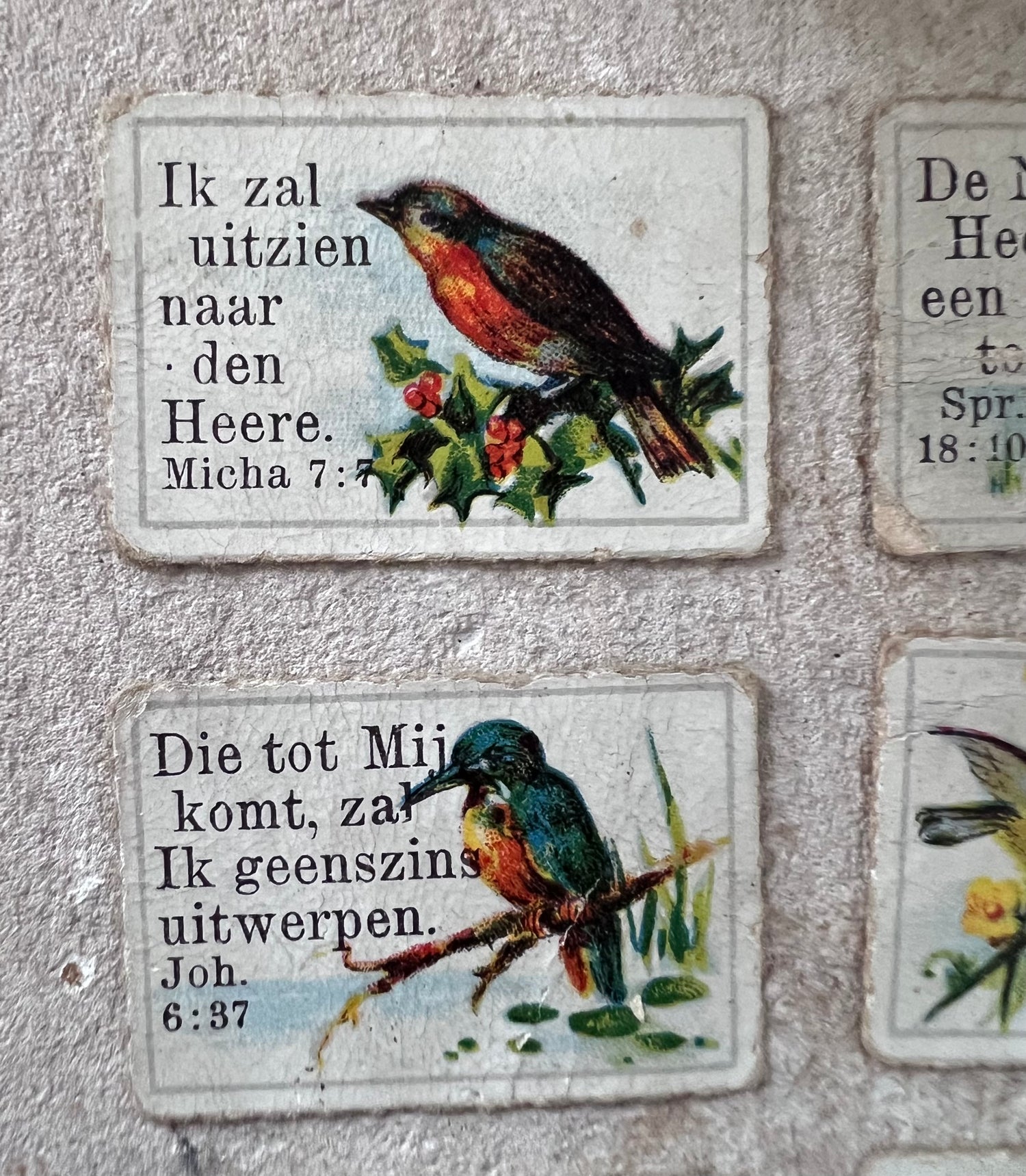 antieke zondagschoolplaatjes, bijbelse zondagschoolplaatjes, zeldzame zondagschoolplaatjes, vintage religieuze prenten, set zondagschoolplaatjes vogels, historische bijbelse illustraties, unieke zondagschoolprent collectie, oude religieuze plaatjes, antiek bijbels drukwerk, decoratieve zondagschoolplaatjes.