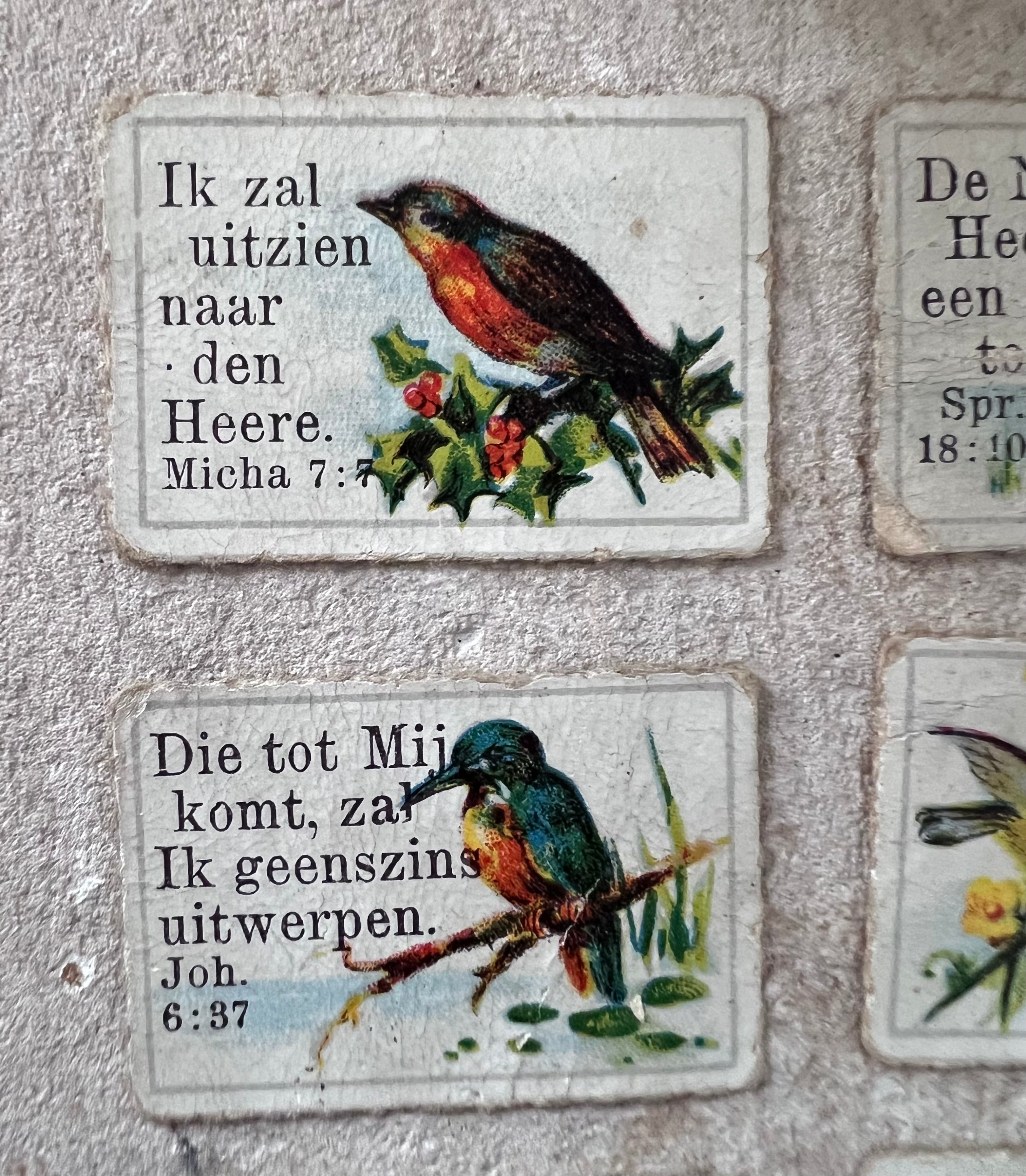 antieke zondagschoolplaatjes, bijbelse zondagschoolplaatjes, zeldzame zondagschoolplaatjes, vintage religieuze prenten, set zondagschoolplaatjes vogels, historische bijbelse illustraties, unieke zondagschoolprent collectie, oude religieuze plaatjes, antiek bijbels drukwerk, decoratieve zondagschoolplaatjes.