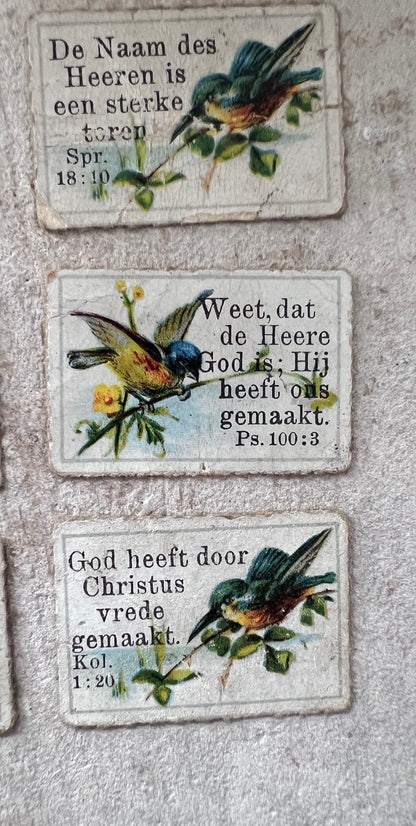 antieke zondagschoolplaatjes, bijbelse zondagschoolplaatjes, zeldzame zondagschoolplaatjes, vintage religieuze prenten, set zondagschoolplaatjes vogels, historische bijbelse illustraties, unieke zondagschoolprent collectie, oude religieuze plaatjes, antiek bijbels drukwerk, decoratieve zondagschoolplaatjes.