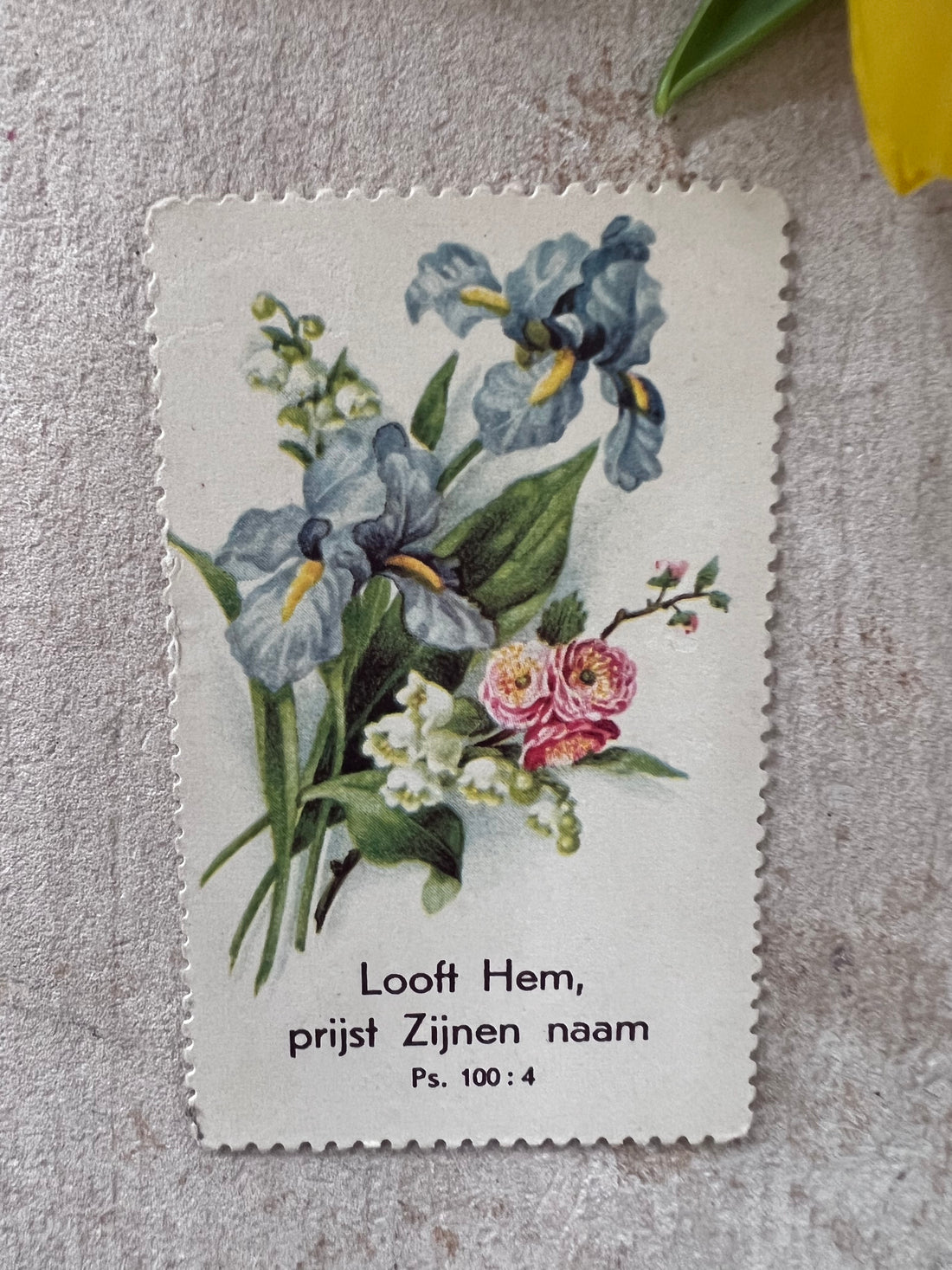 Antiek zondagsschool plaatje met zomerbloeiers