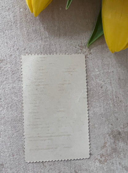 Antiek zondagsschool plaatje met zomerbloeiers