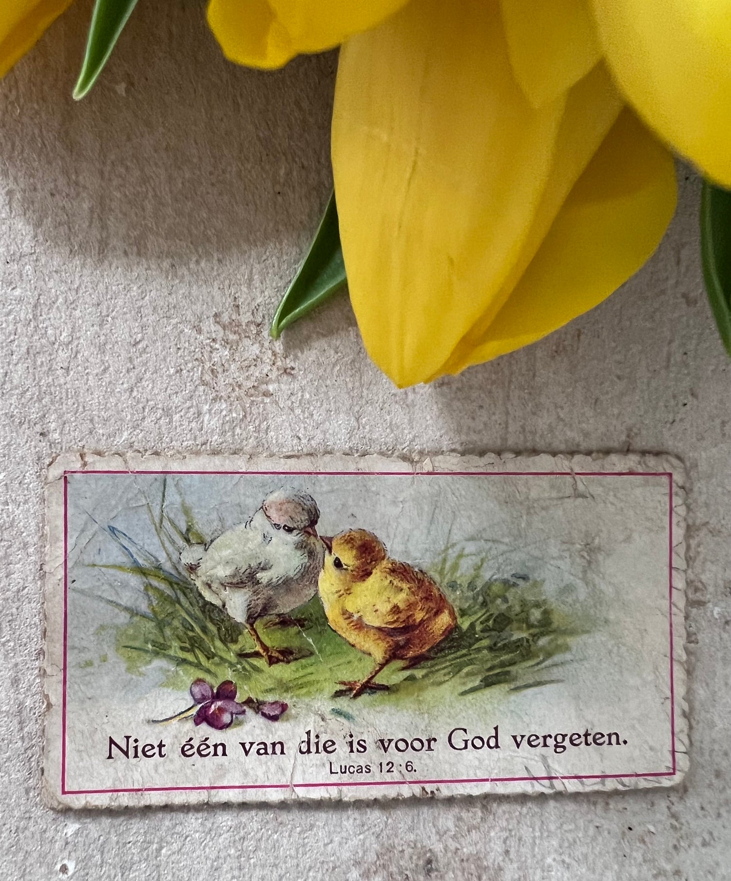 antieke zondagschoolplaatjes, vintage zondagschoolplaatjes, zondagschoolplaatjes kuikentje, paasdecoratie vintage, oude prenten paasdecoratie, antieke paasversiering, nostalgische paasplaatjes, vintage paasdecoratie, antieke illustraties kuikens