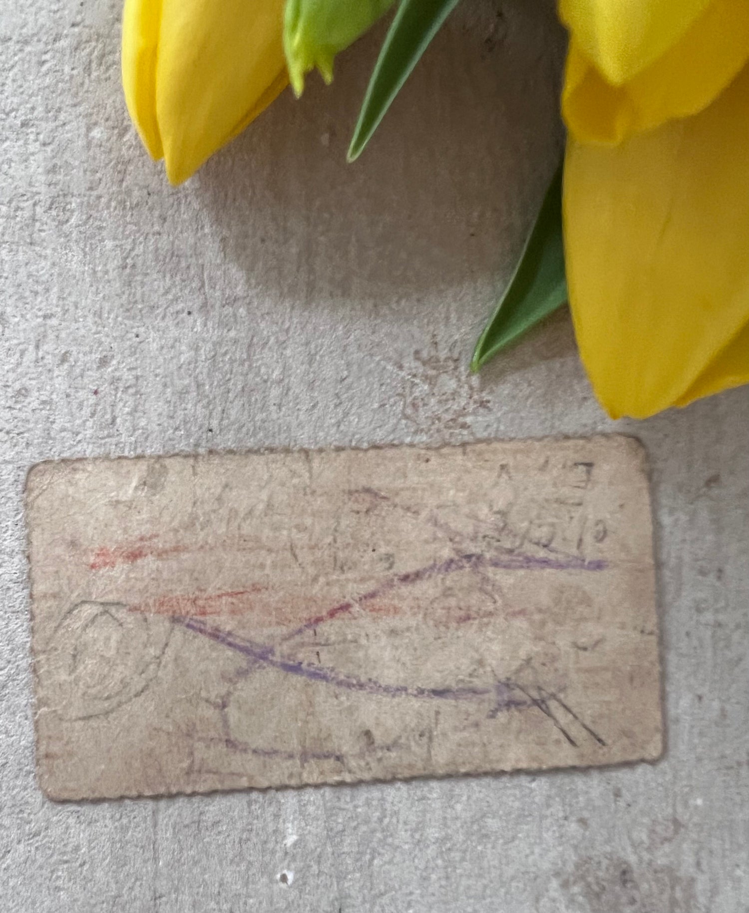 antieke zondagschoolplaatjes, vintage zondagschoolplaatjes, zondagschoolplaatjes kuikentje, paasdecoratie vintage, oude prenten paasdecoratie, antieke paasversiering, nostalgische paasplaatjes, vintage paasdecoratie, antieke illustraties kuikens