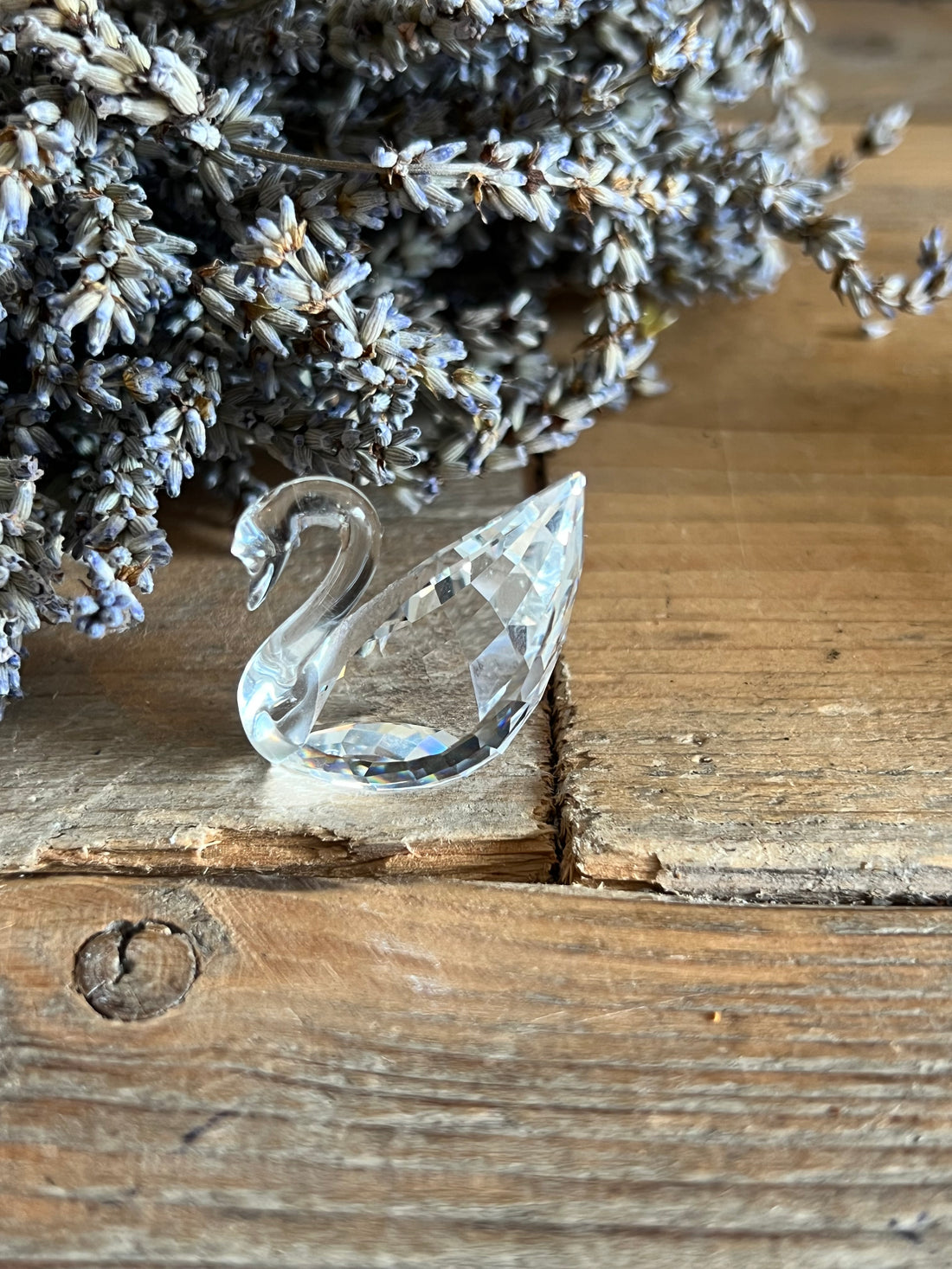 Swarovski zwaan kristal