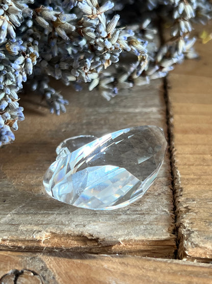 Swarovski zwaan kristal