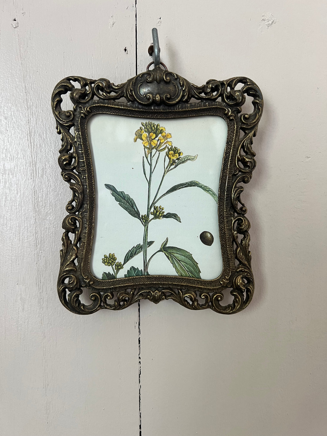 Vintage fotolijstje met botanische afbeelding
