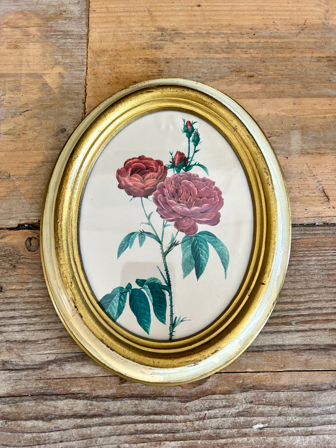 Vintage lijstje met rode rozen