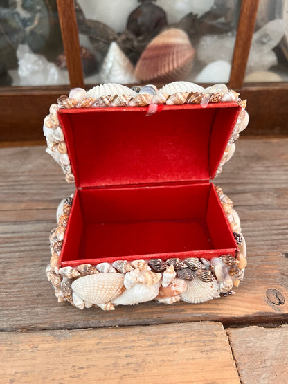 Vintage storage box with shells