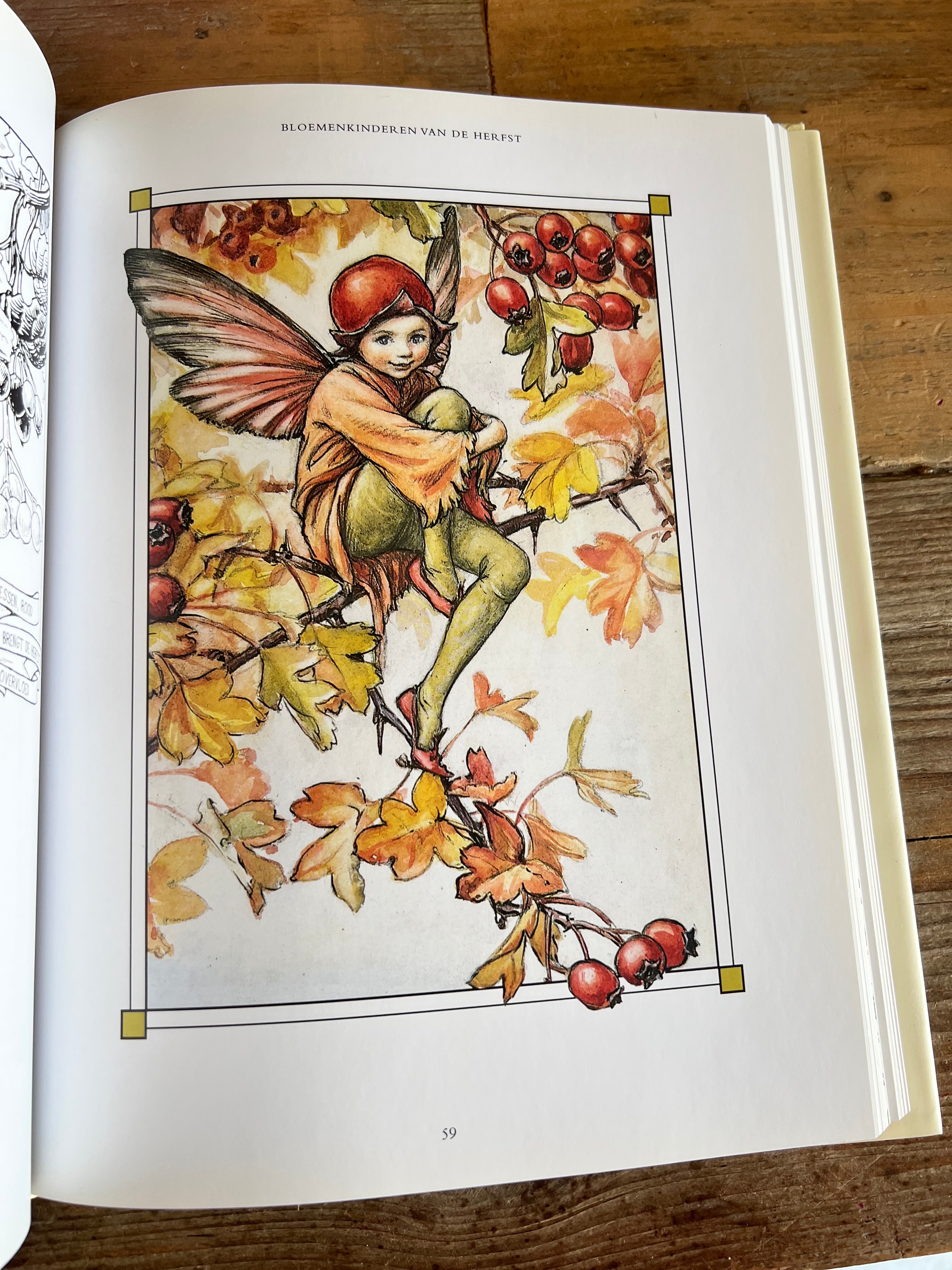Het complete boek van de Bloemenkinderen Cicely Mary Barker