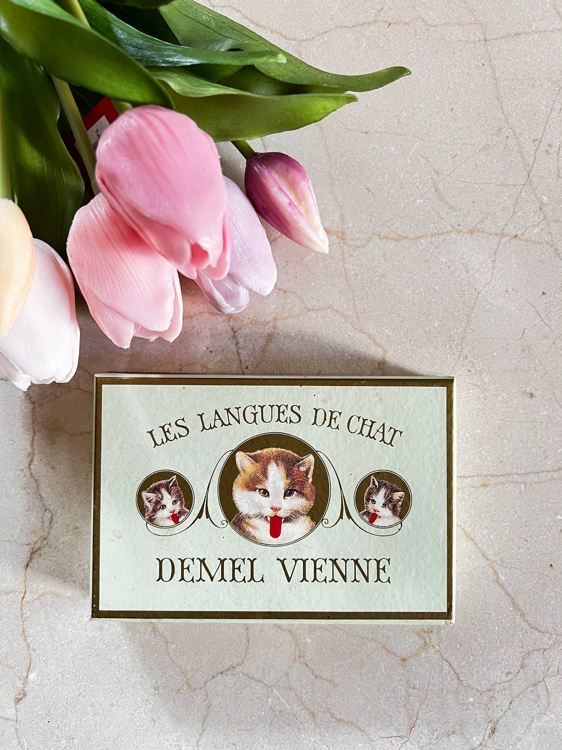 chocoladedoosje Demel Vienna, Les Langues de Chat doosje, Demel chocolade verzamelobject, luxe chocoladedoos, authentiek Demel doosje, Weense chocolade geschenk, Demel Vienna souvenirs, chocoladedoosje collectors item, klassieke chocolade verpakking.