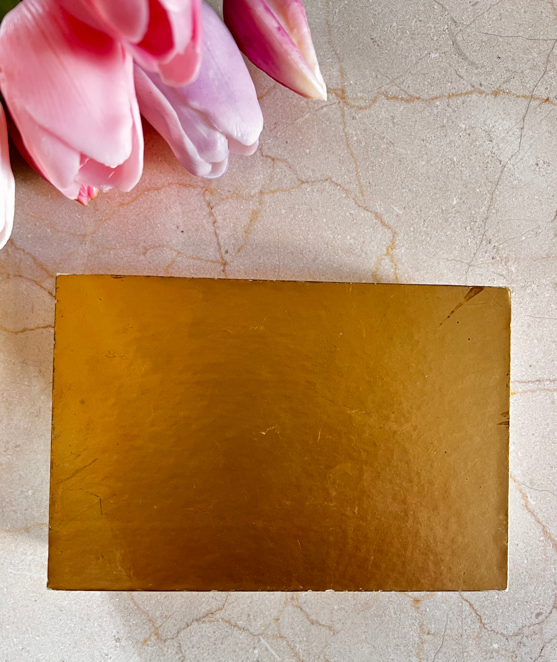 chocoladedoosje Demel Vienna, Les Langues de Chat doosje, Demel chocolade verzamelobject, luxe chocoladedoos, authentiek Demel doosje, Weense chocolade geschenk, Demel Vienna souvenirs, chocoladedoosje collectors item, klassieke chocolade verpakking.