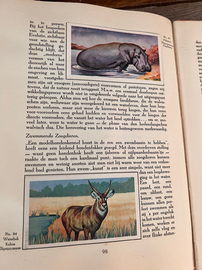 Boek Artis 1938