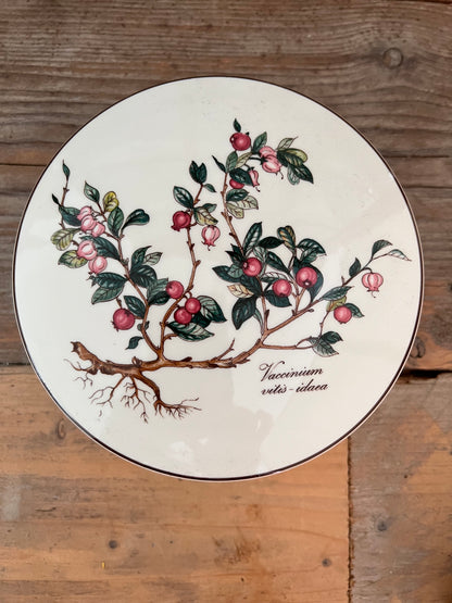 Botanica dekseldoos Villeroy and Boch