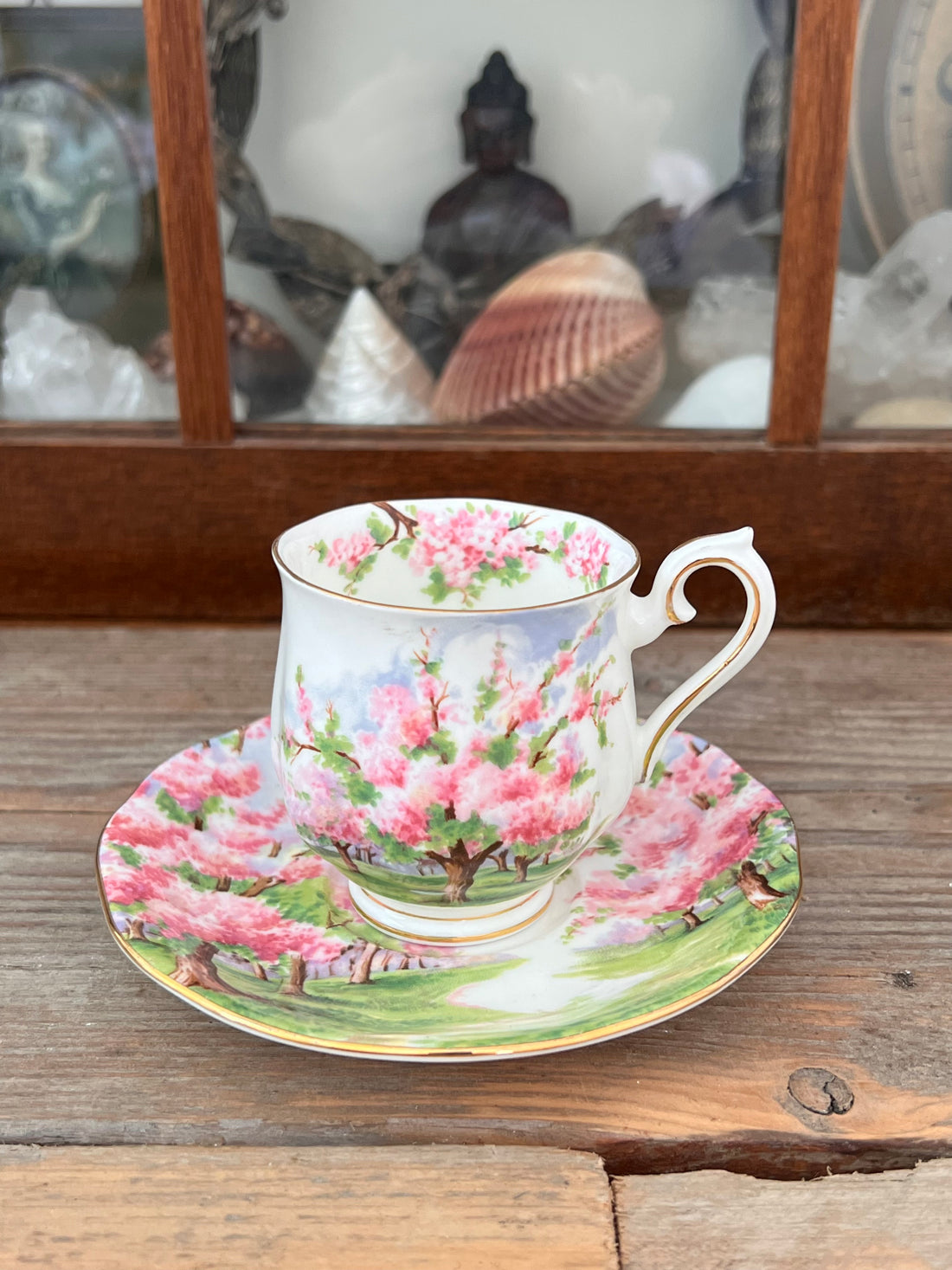 Cup and saucer Blossom Time