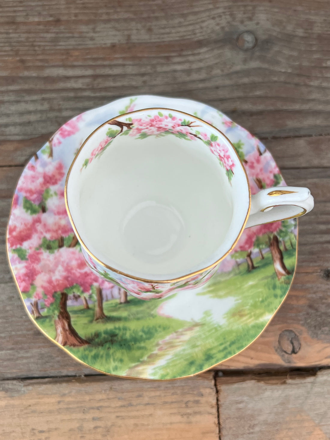 Cup and saucer Blossom Time
