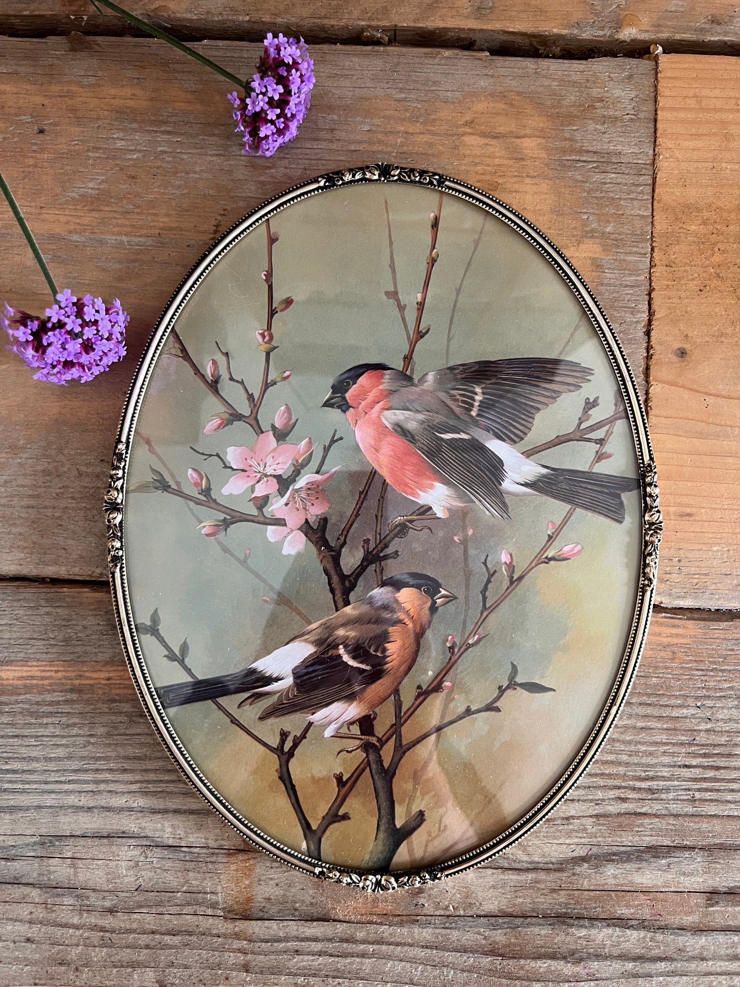 Brocante fotolijst met vogeltjes