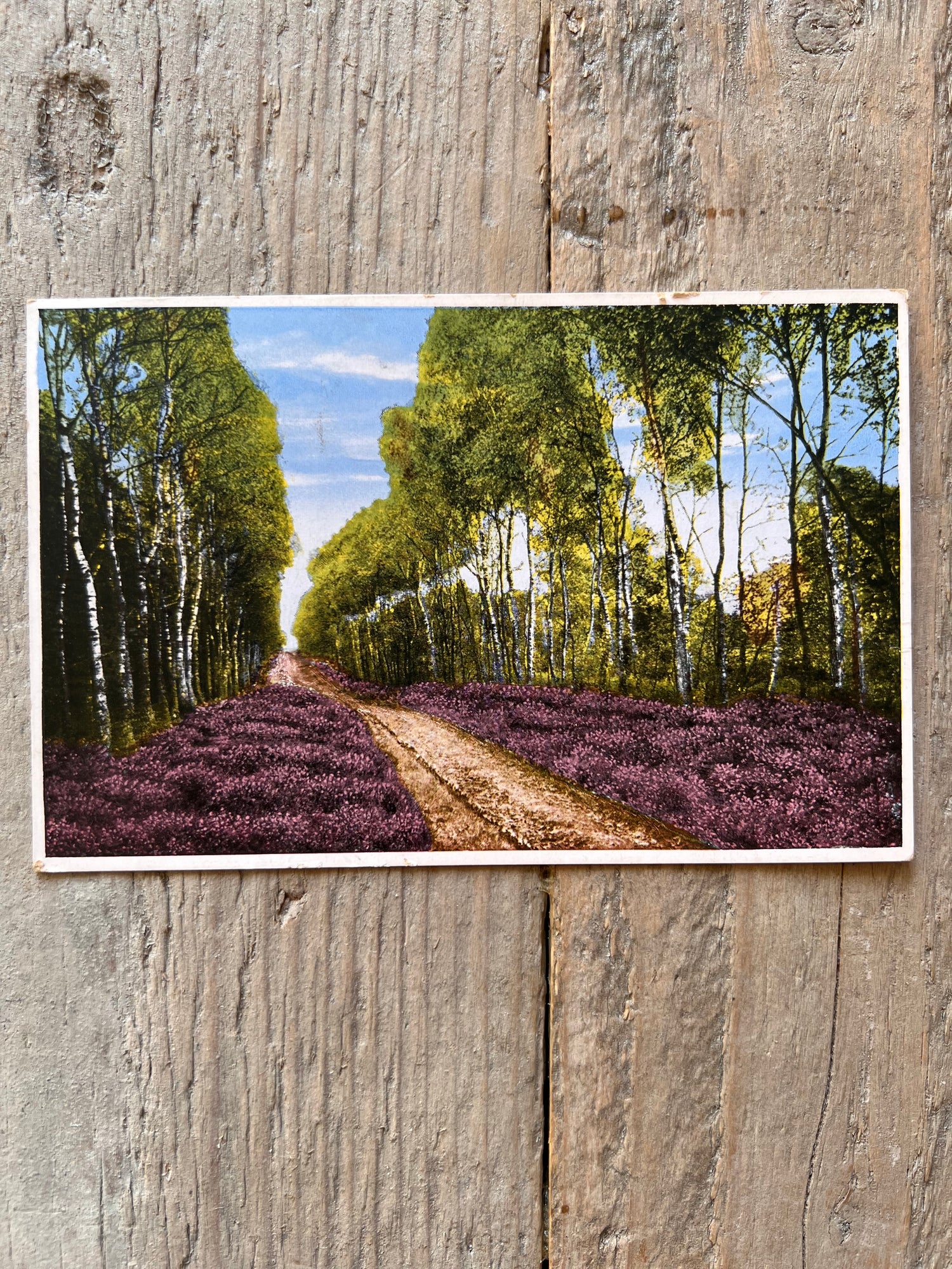 Antique postcard landscape with heather