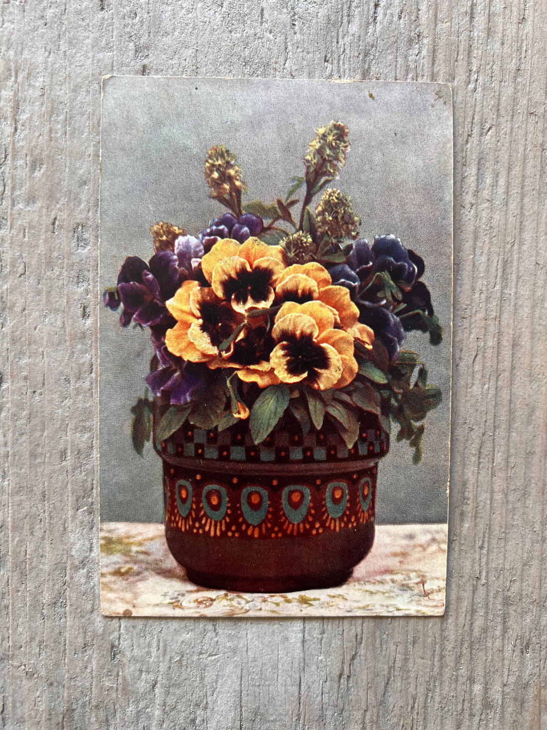 Antique postcard pansies