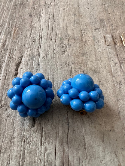 Retro bloemen clips blauw