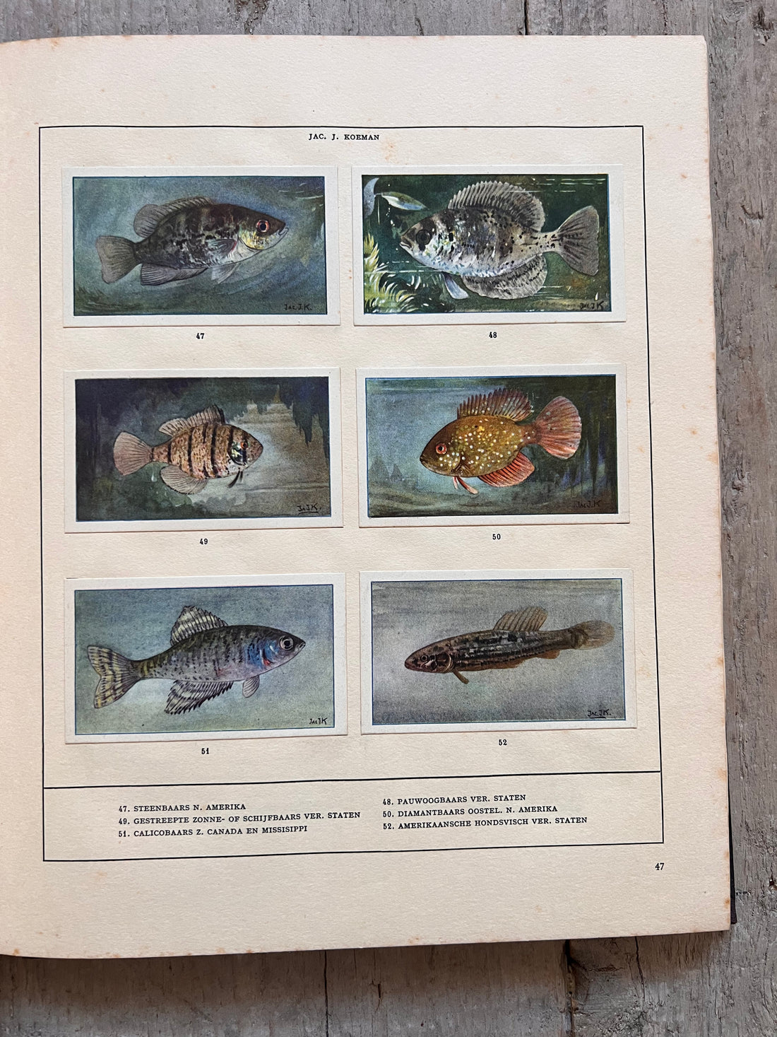 Verkade plaatjesboek Mijn Aquarium