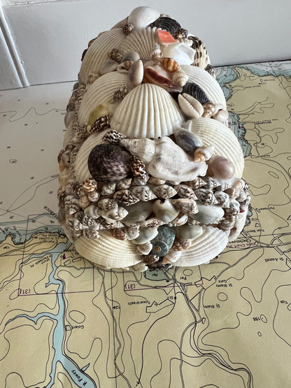Schelpen opbergdoosje