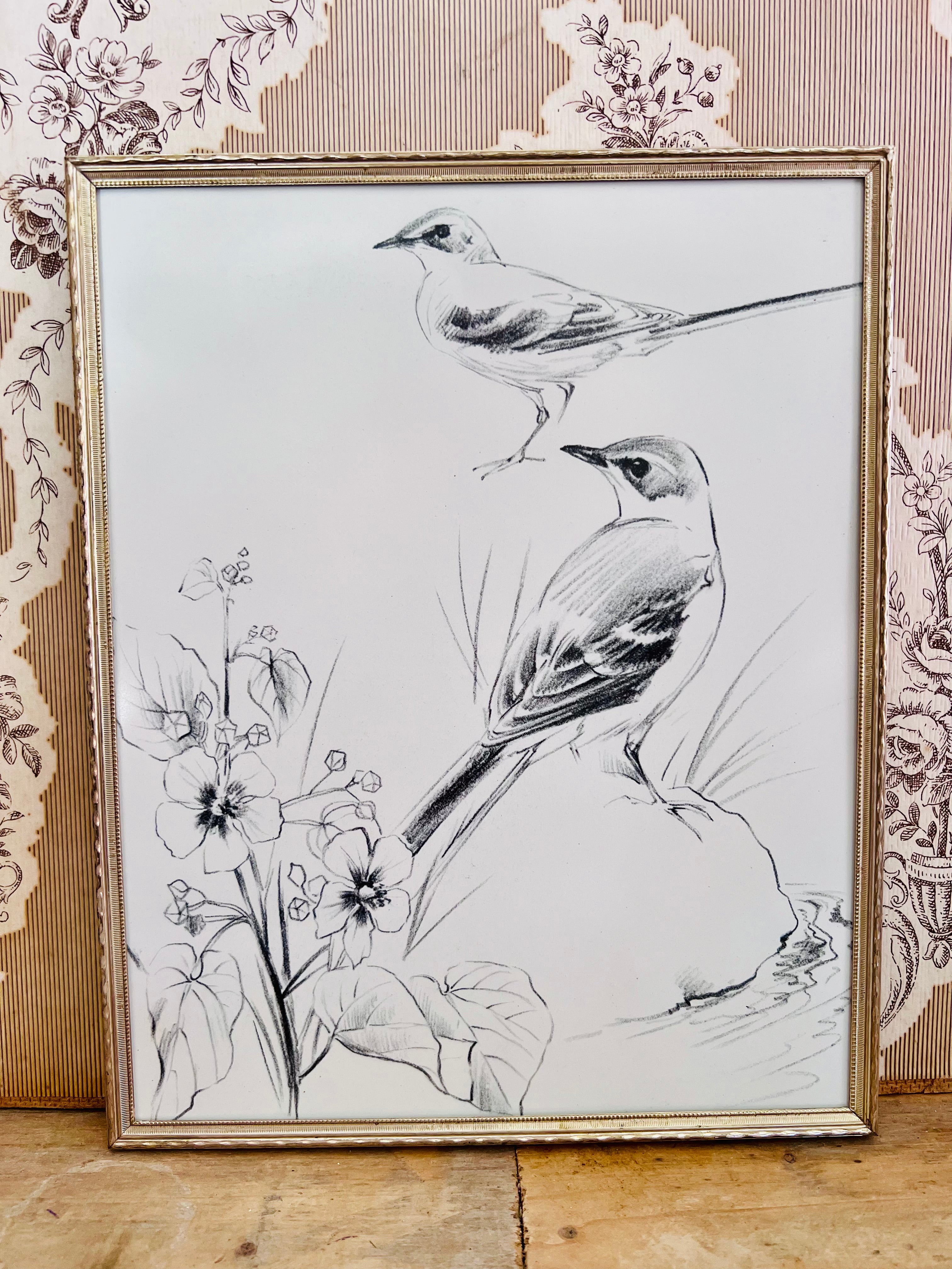 vintage fotolijst, zwart-wit illustratie, vogel illustratie, vintage decoratie, retro fotolijst, zwarte fotolijst, nostalgische woondecoratie, vintage vogel illustratie, decoratieve fotolijst, sfeervolle wanddecoratie.